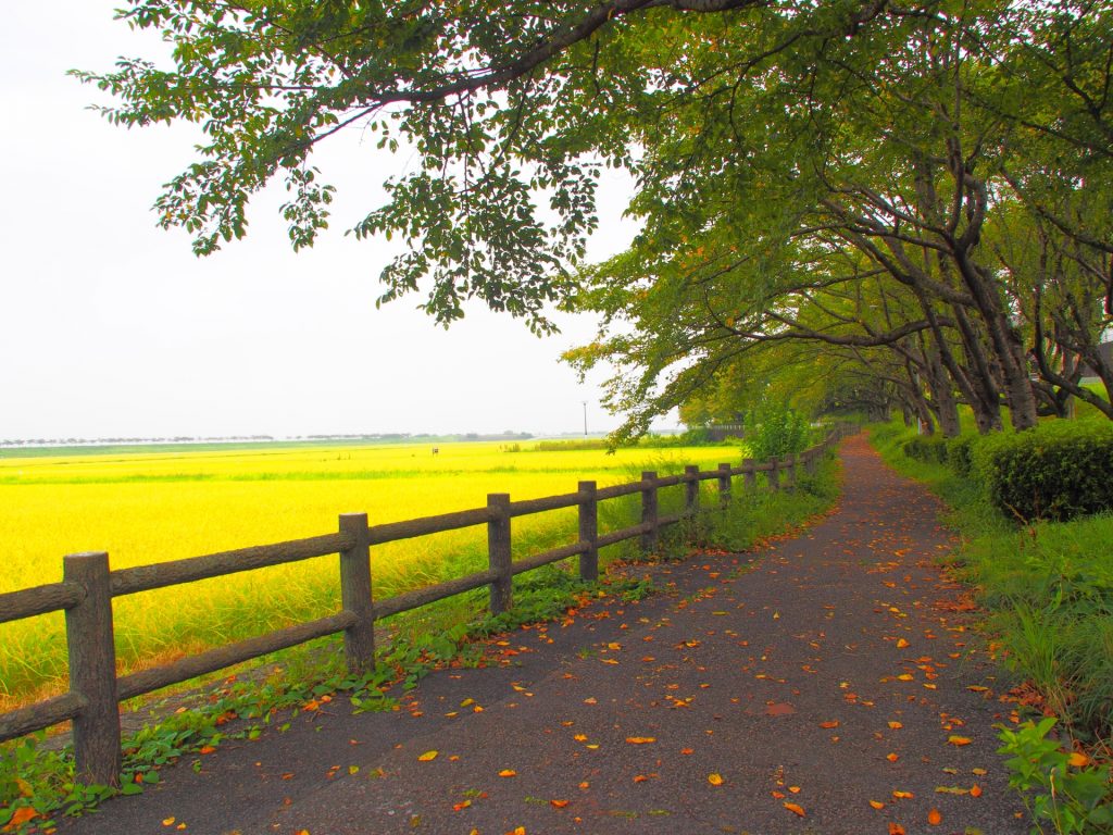 小山市の魅力