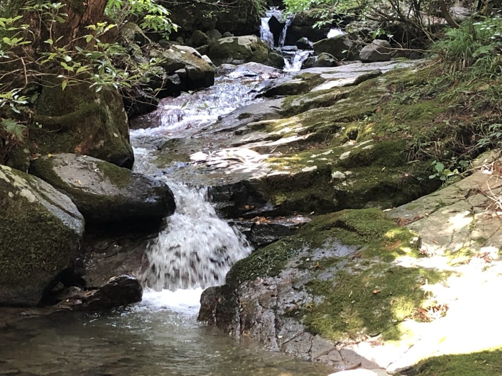 岡山県奈義町の河の様子