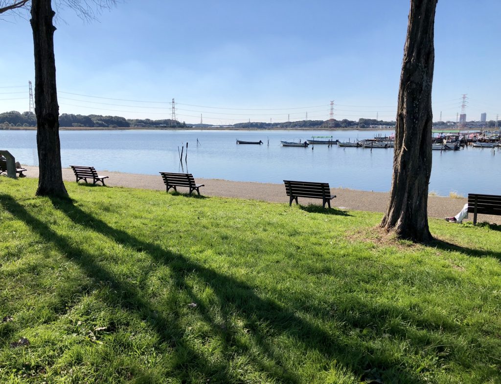 手賀沼公園の湯雄の様子