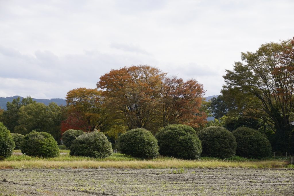 野々市市