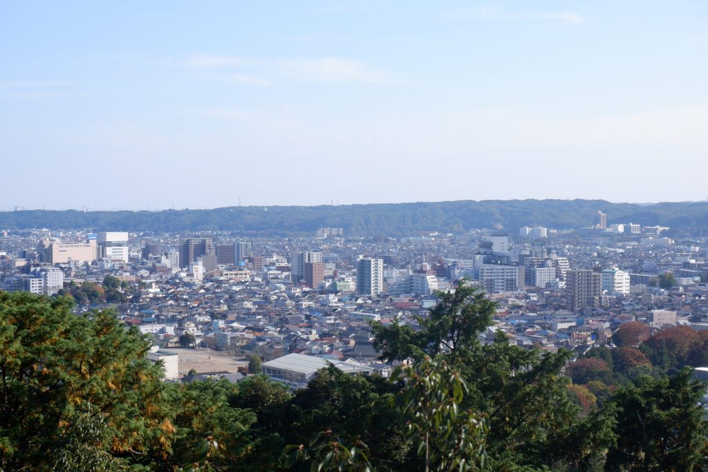 天覧山から望む飯能市の街並みの様子