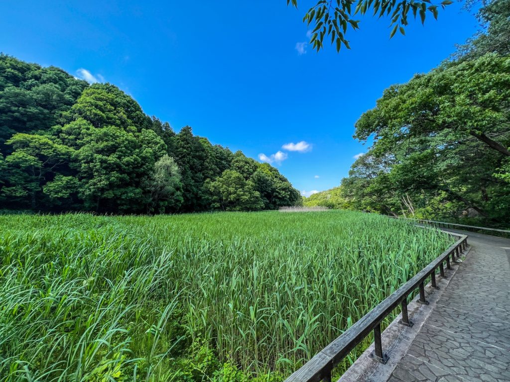 四季の森公園の様子