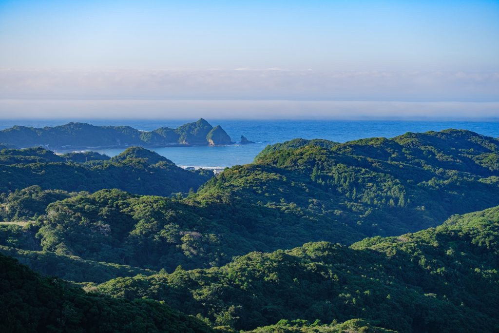 勝浦の風景の様子