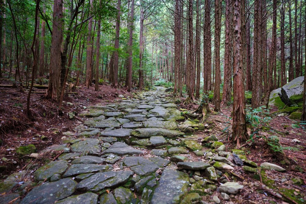 馬越峠の石畳（熊野古道）の様子