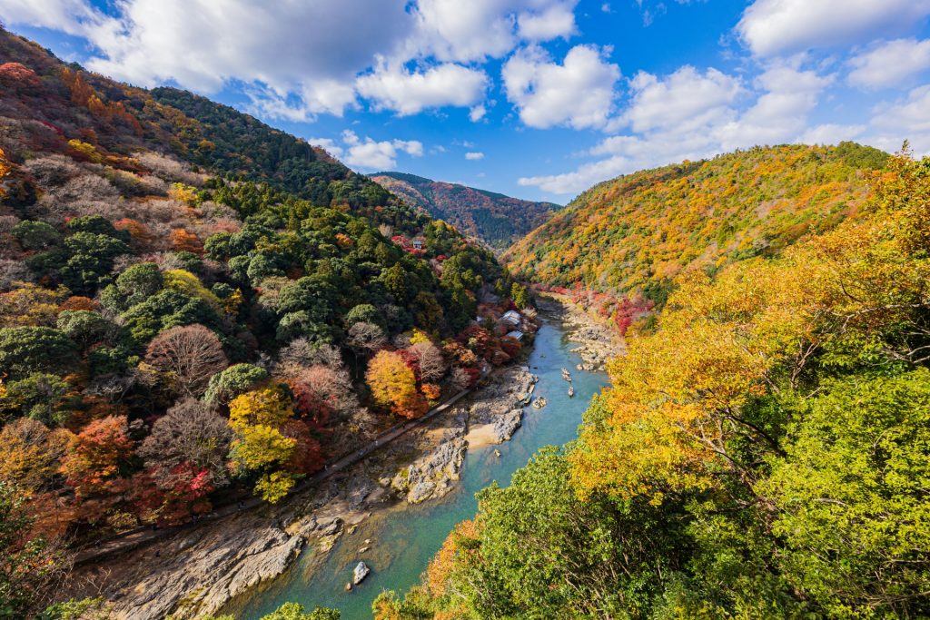 紅葉風景の様子