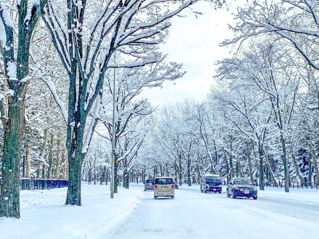 雪が降った冬の道の様子