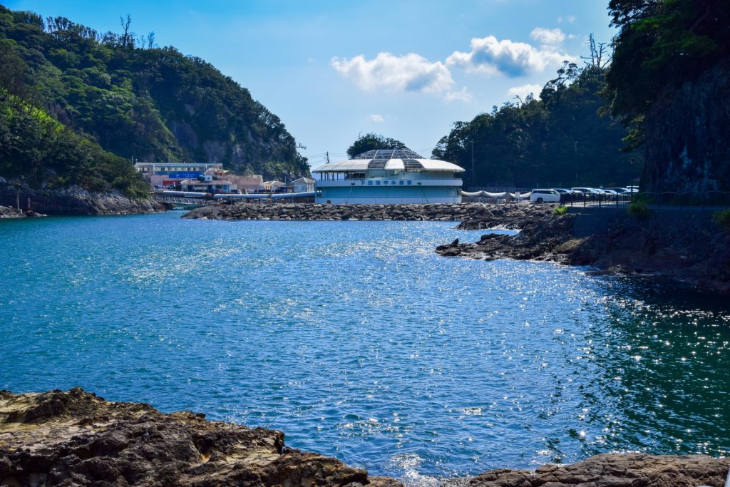 静岡県下田市夏の青い海の様子