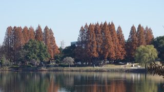 埼玉県久喜市