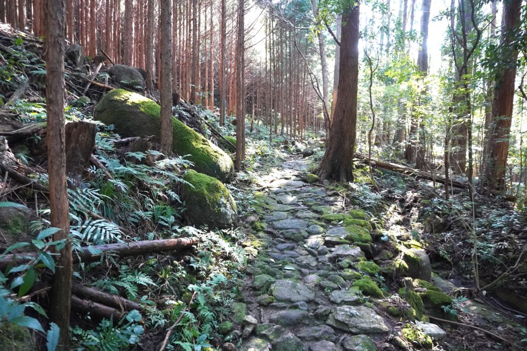 熊野古道八鬼山道の石畳1の様子