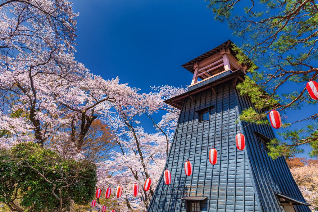 群馬県・沼田市 沼田公園の桜と物見櫓の様子