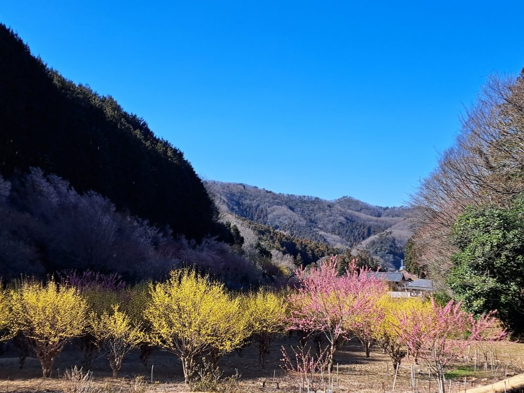 小川町の魅力