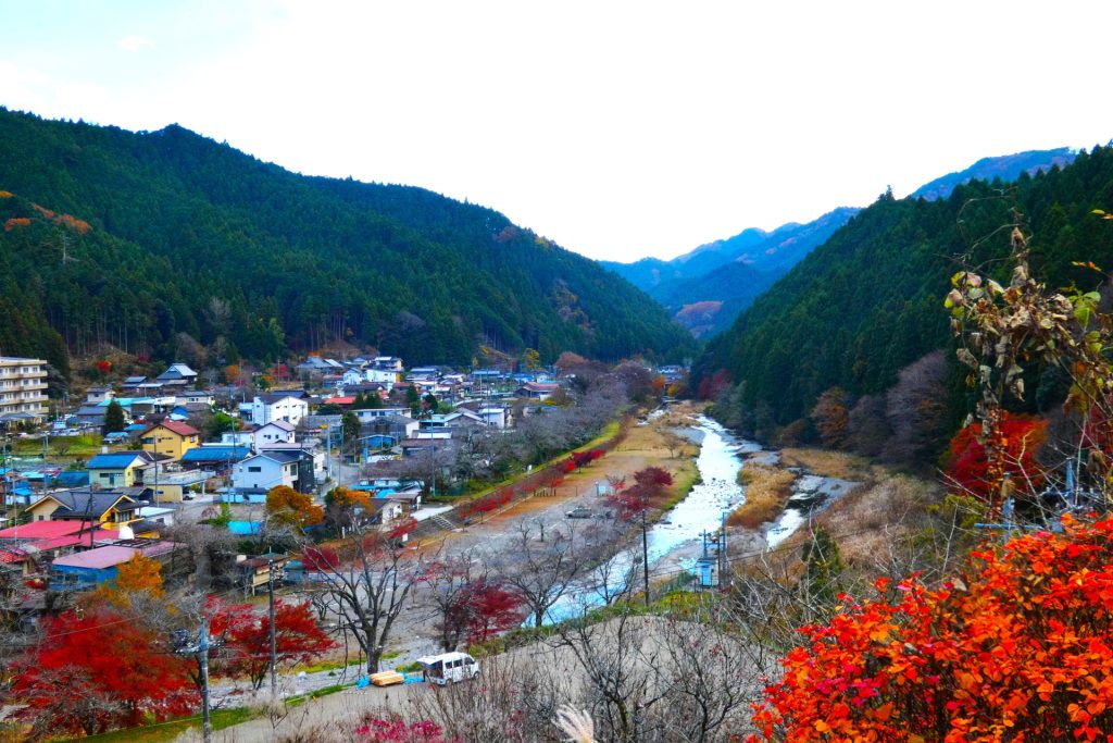 入間川の様子