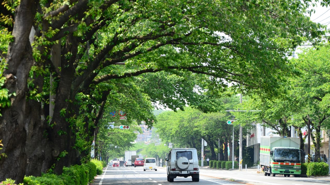 あし原湿原四季の森公園の様子