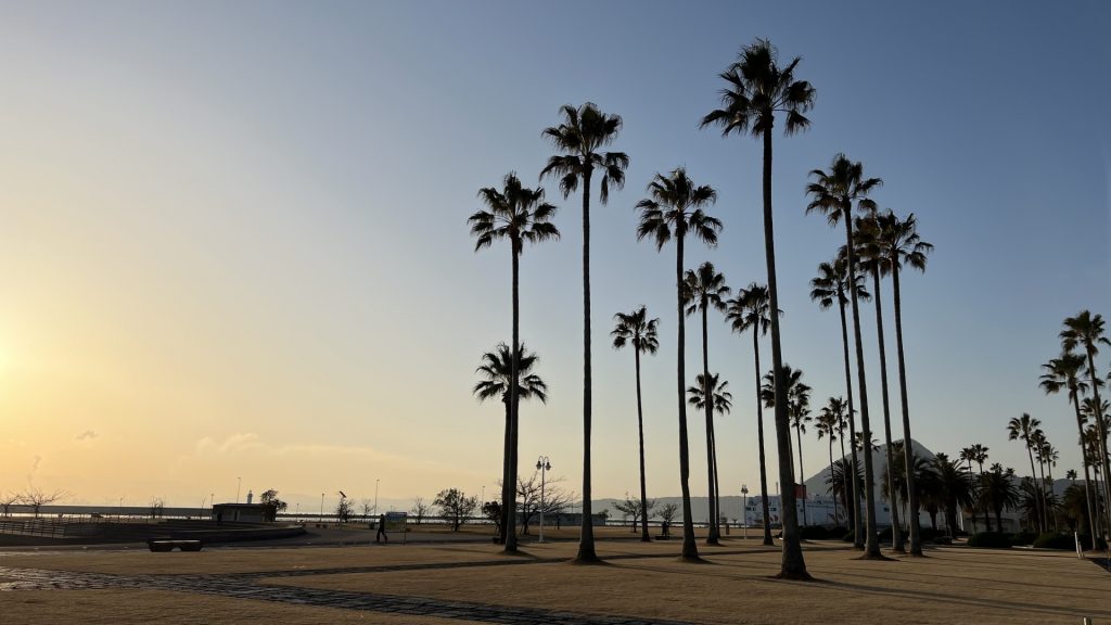 【大分】上人ヶ浜の風景の様子