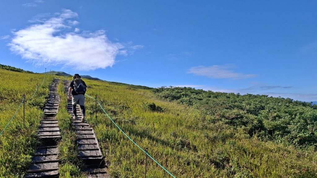 木道を歩く登山者の様子