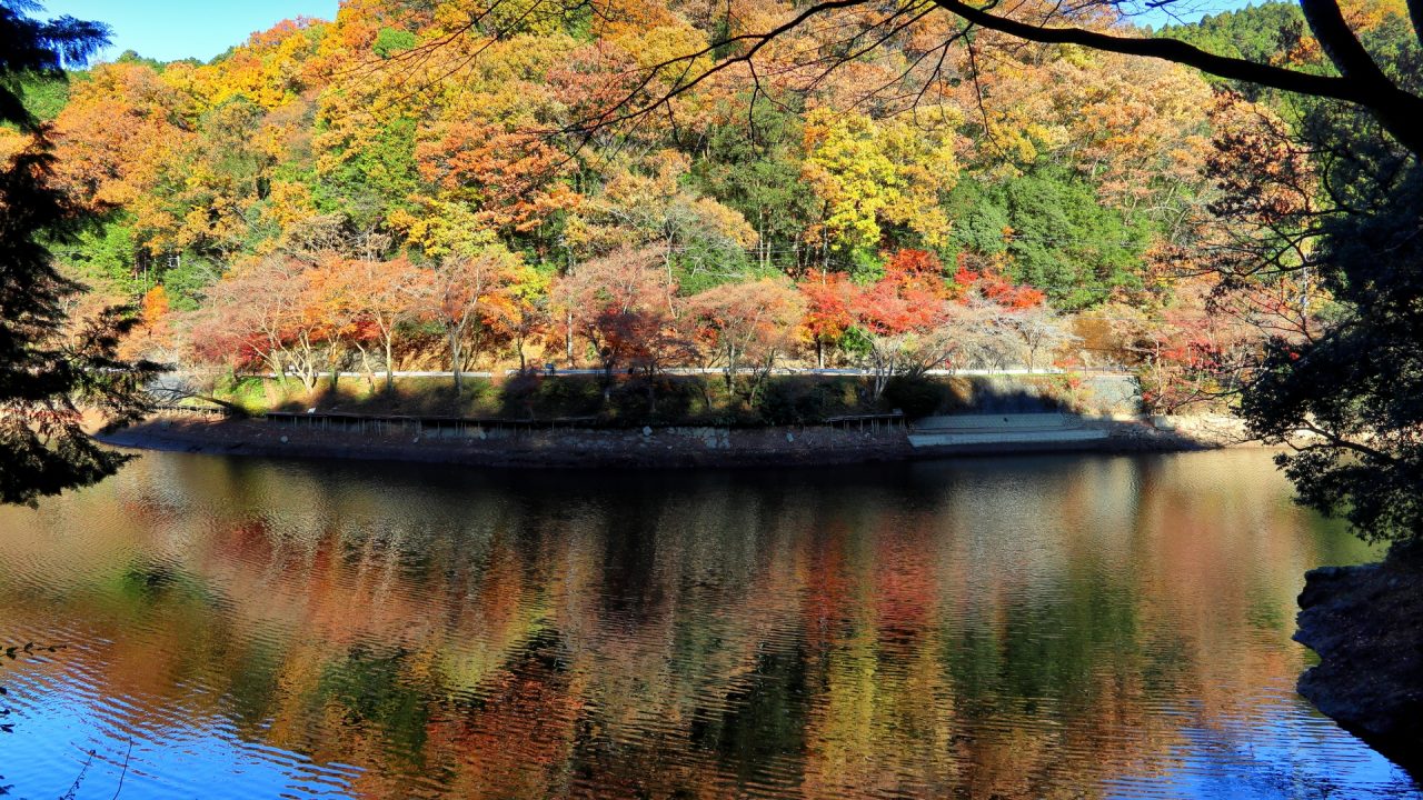 毛呂山町