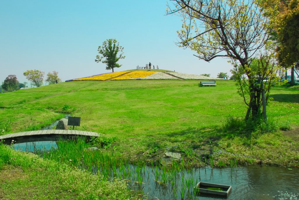 羽生水郷公園