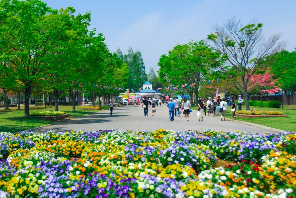 羽生水郷公園