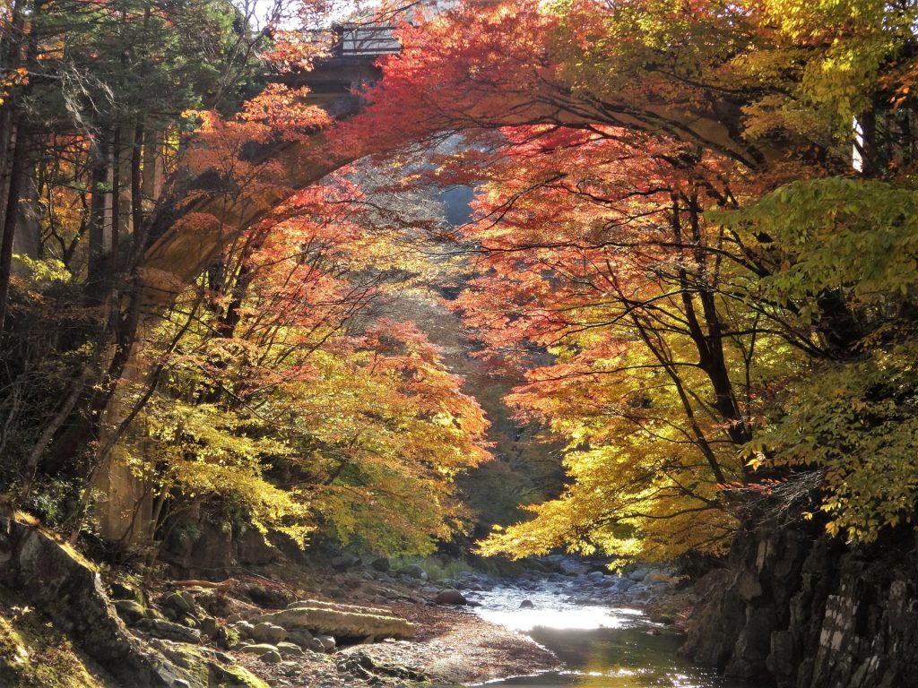 栃木県鹿沼市移住