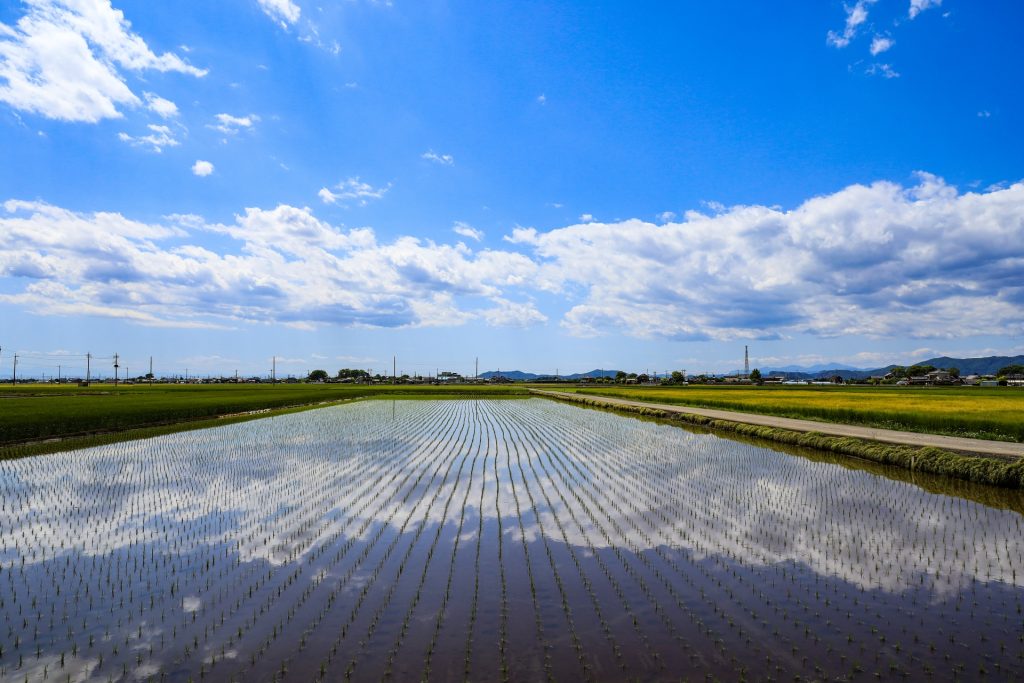 小山市