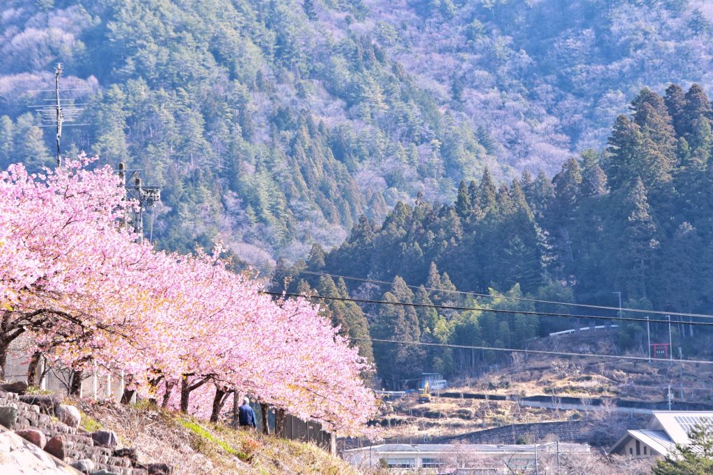 飯田市