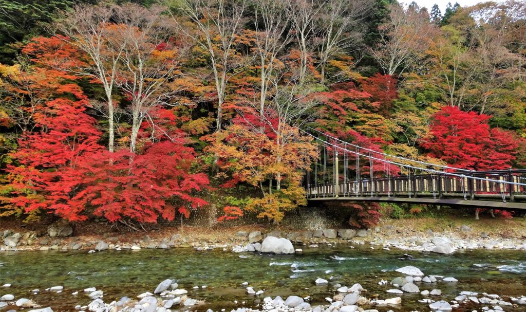 栃木県那須塩原市